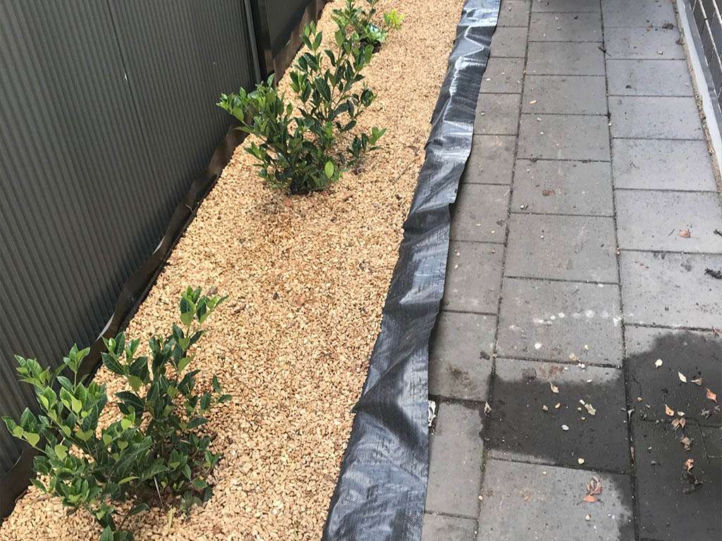 Gardening in Adelaide