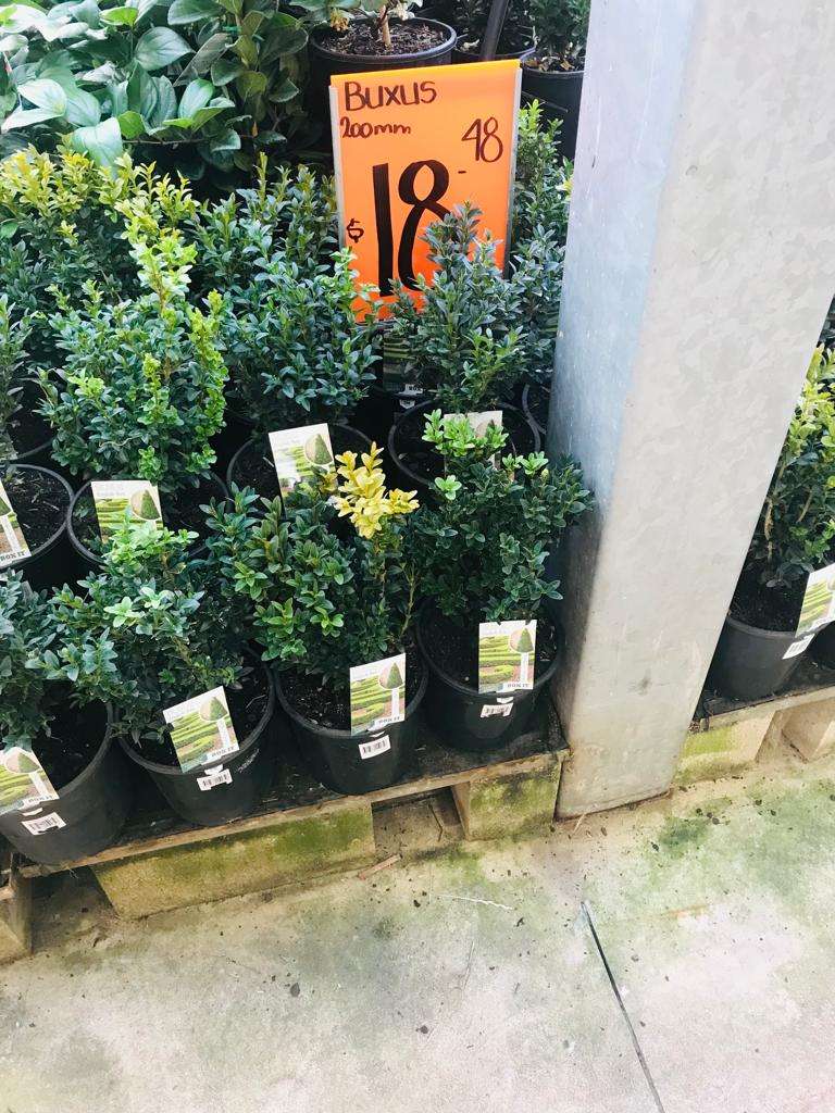 Plants Adelaide