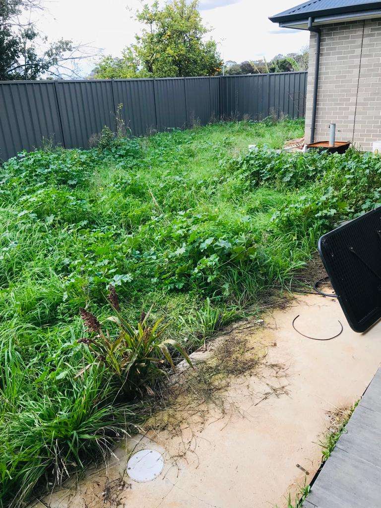 Weed and Pest Adelaide